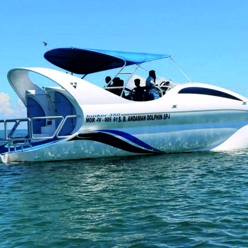 Andaman Dolphin