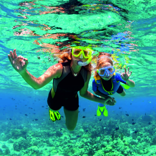 Snorkeling